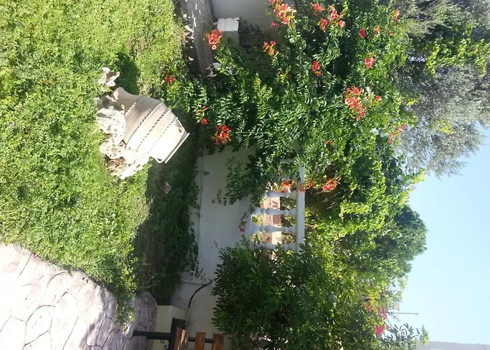 Mike's House ファリラキ