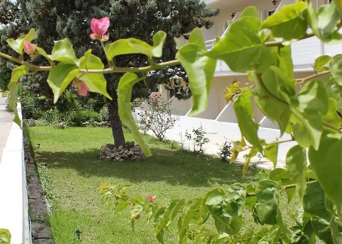 Mike's House Hotel 2*