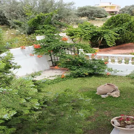Mike's House فندق