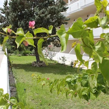 Mike's House Hotel 2*