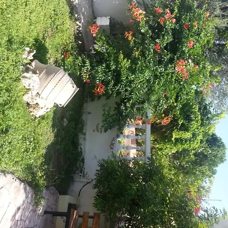 Mike's House Φαληράκι